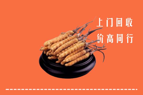 高价求购：丰顺县回收散虫草