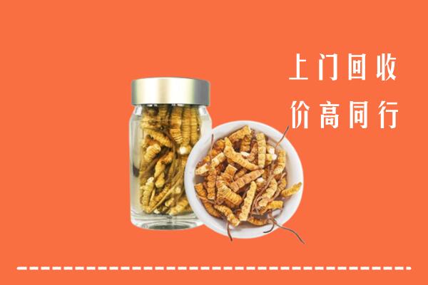 丰顺县回收冬虫夏草